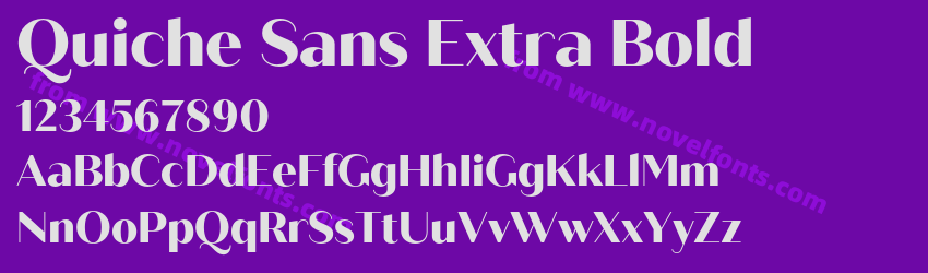Quiche Sans Extra BoldPreview Quiche Sans Extra BoldPreview