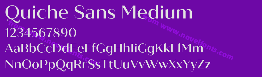 Quiche Sans MediumPreview Quiche Sans MediumPreview
