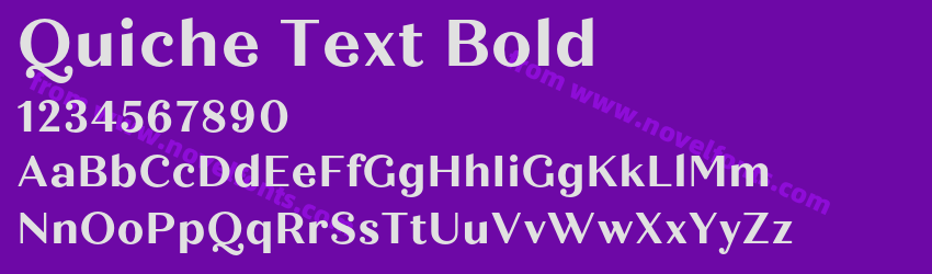 Quiche Text BoldPreview Quiche Text BoldPreview