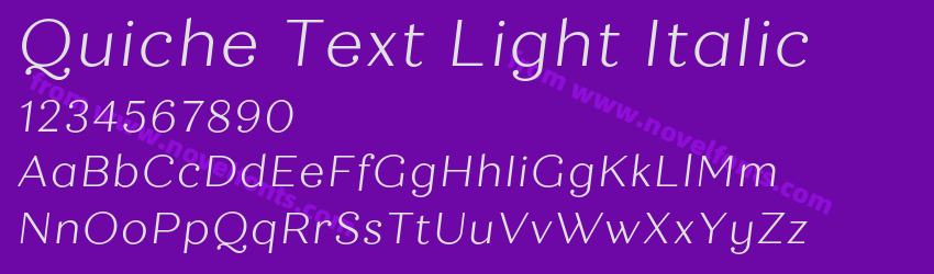 Quiche Text Light ItalicPreview Quiche Text Light ItalicPreview