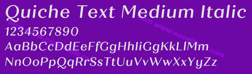 Quiche Text Medium ItalicPreview Quiche Text Medium ItalicPreview