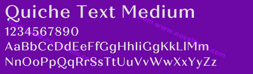 Quiche Text MediumPreview Quiche Text MediumPreview