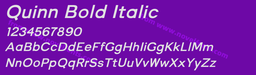 Quinn Bold ItalicPreview Quinn Bold ItalicPreview