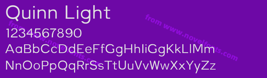 Quinn LightPreview Quinn LightPreview