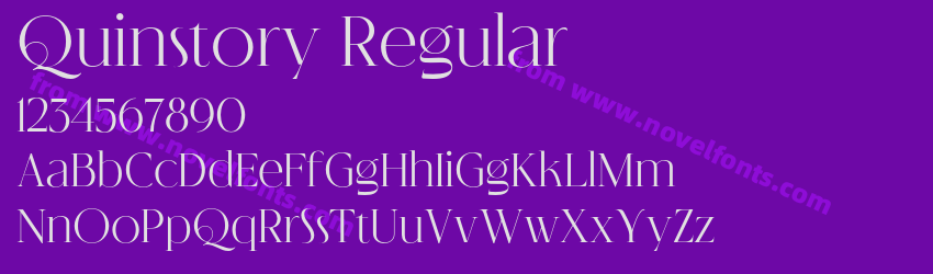 Quinstory RegularPreview Quinstory RegularPreview