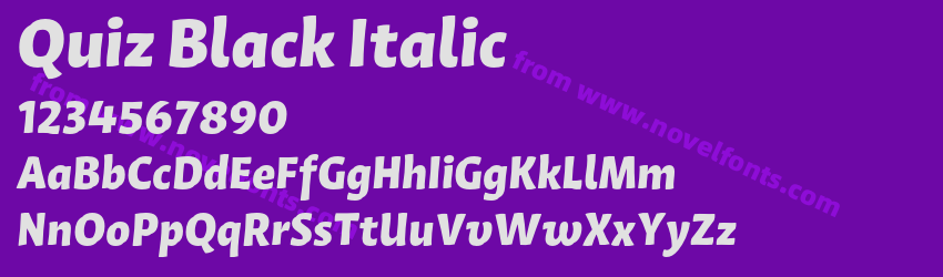Quiz Black ItalicPreview Quiz Black ItalicPreview