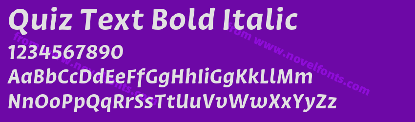 Quiz Text Bold ItalicPreview Quiz Text Bold ItalicPreview