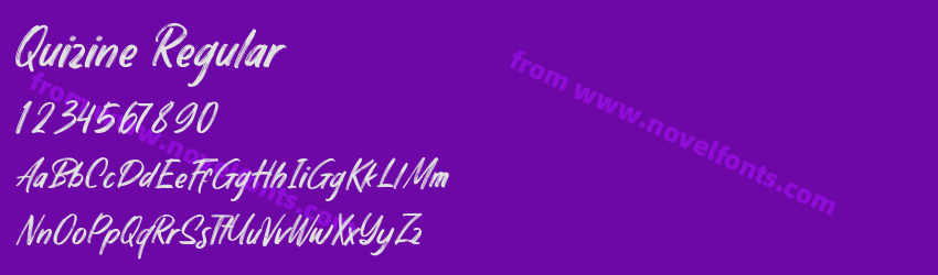 Quizine RegularPreview Quizine RegularPreview