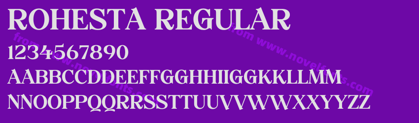 ROHESTA RegularPreview ROHESTA RegularPreview