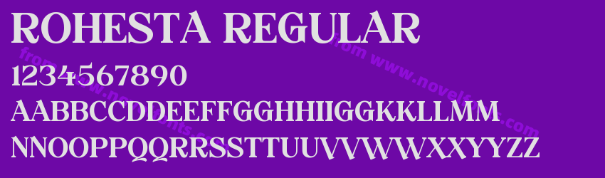 ROHESTA RegularPreview ROHESTA RegularPreview