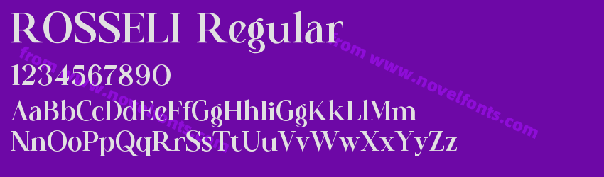 ROSSELI RegularPreview ROSSELI RegularPreview