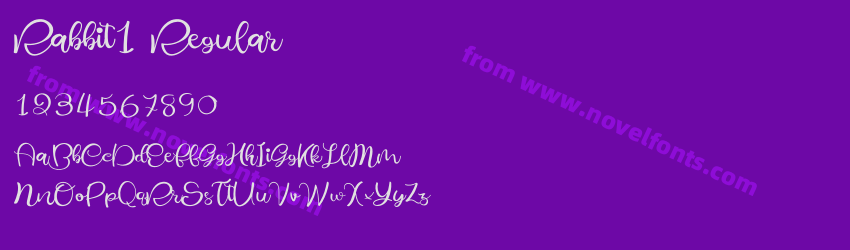 Rabbit1 RegularPreview Rabbit1 RegularPreview