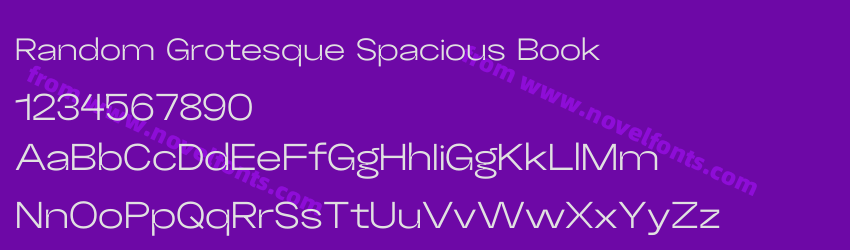 Random Grotesque Spacious BookPreview Random Grotesque Spacious BookPreview