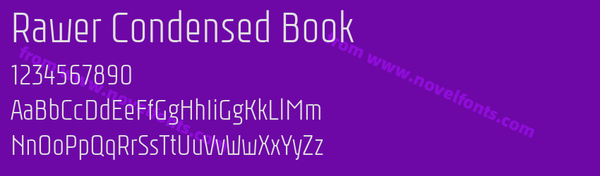 Rawer Condensed BookPreview Rawer Condensed BookPreview