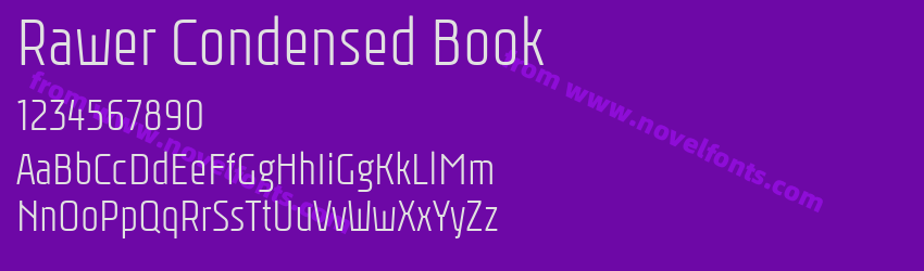 Rawer Condensed BookPreview Rawer Condensed BookPreview