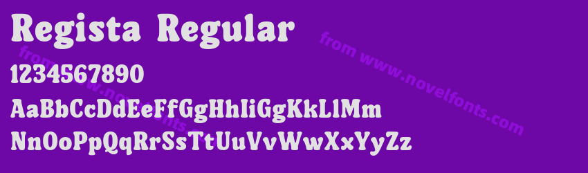 Regista RegularPreview Regista RegularPreview
