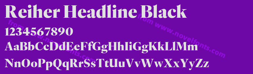 Reiher Headline BlackPreview Reiher Headline BlackPreview