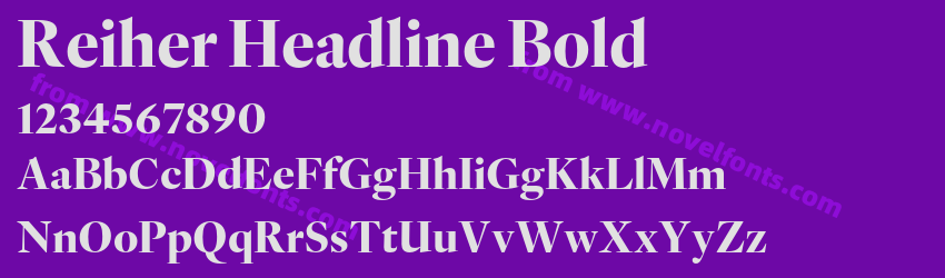 Reiher Headline BoldPreview Reiher Headline BoldPreview