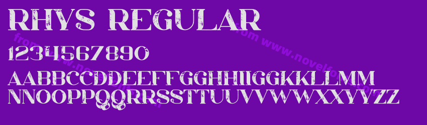 Rhys RegularPreview Rhys RegularPreview