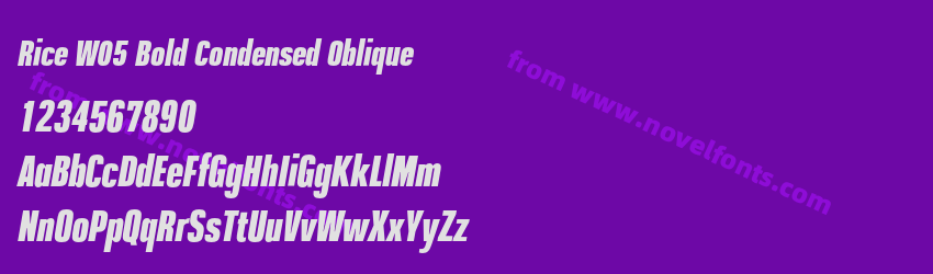 Rice W05 Bold Condensed ObliquePreview Rice W05 Bold Condensed ObliquePreview