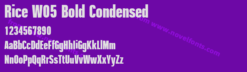 Rice W05 Bold CondensedPreview Rice W05 Bold CondensedPreview
