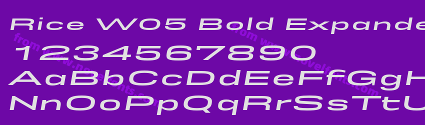Rice W05 Bold Expanded ObliquePreview Rice W05 Bold Expanded ObliquePreview