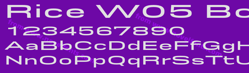 Rice W05 Bold ExpandedPreview Rice W05 Bold ExpandedPreview