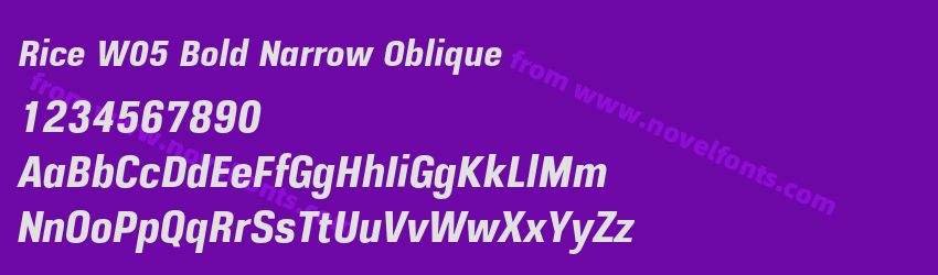 Rice W05 Bold Narrow ObliquePreview Rice W05 Bold Narrow ObliquePreview