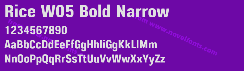 Rice W05 Bold NarrowPreview Rice W05 Bold NarrowPreview