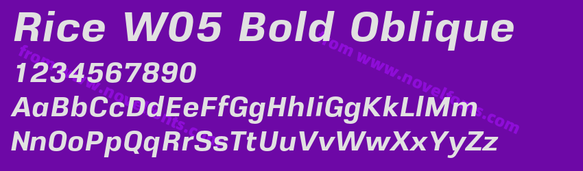 Rice W05 Bold ObliquePreview Rice W05 Bold ObliquePreview