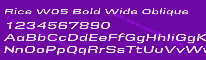 Rice W05 Bold Wide ObliquePreview Rice W05 Bold Wide ObliquePreview