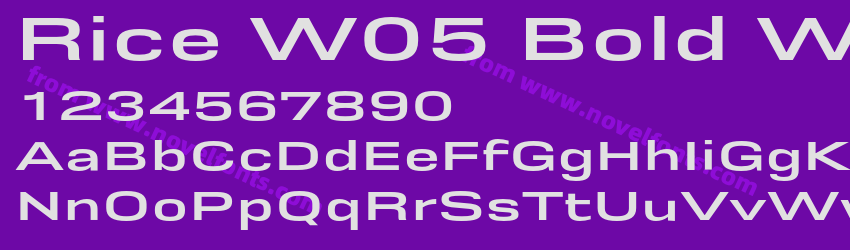 Rice W05 Bold WidePreview Rice W05 Bold WidePreview