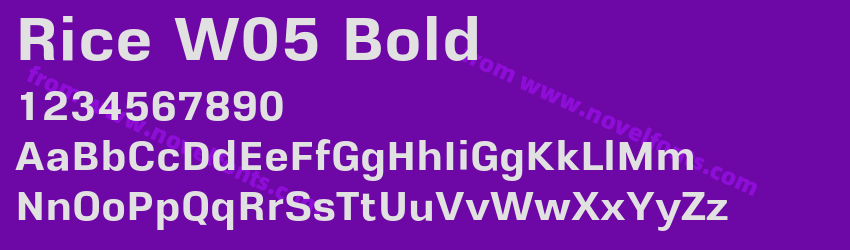 Rice W05 BoldPreview Rice W05 BoldPreview