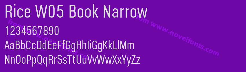 Rice W05 Book NarrowPreview Rice W05 Book NarrowPreview