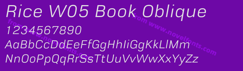 Rice W05 Book ObliquePreview Rice W05 Book ObliquePreview