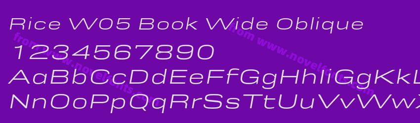 Rice W05 Book Wide ObliquePreview Rice W05 Book Wide ObliquePreview