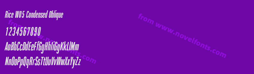 Rice W05 Condensed ObliquePreview Rice W05 Condensed ObliquePreview