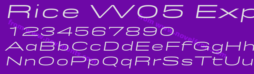 Rice W05 Expanded ObliquePreview Rice W05 Expanded ObliquePreview
