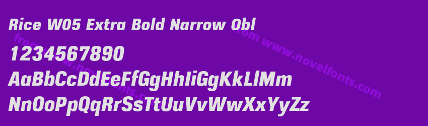Rice W05 Extra Bold Narrow OblPreview Rice W05 Extra Bold Narrow OblPreview