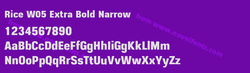 Rice W05 Extra Bold NarrowPreview Rice W05 Extra Bold NarrowPreview