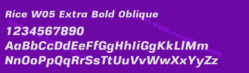 Rice W05 Extra Bold ObliquePreview Rice W05 Extra Bold ObliquePreview