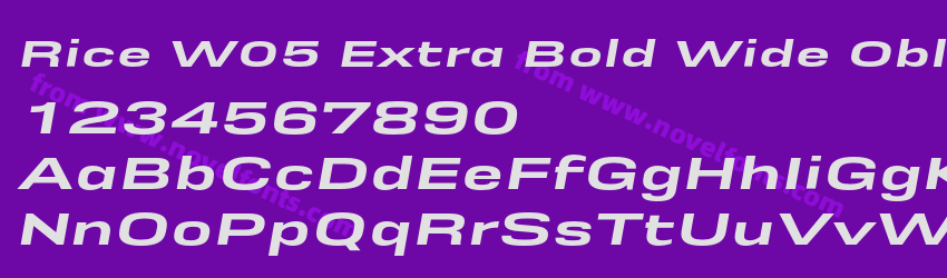 Rice W05 Extra Bold Wide OblPreview Rice W05 Extra Bold Wide OblPreview