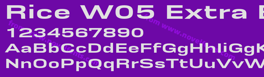 Rice W05 Extra Bold WidePreview Rice W05 Extra Bold WidePreview