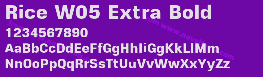 Rice W05 Extra BoldPreview Rice W05 Extra BoldPreview
