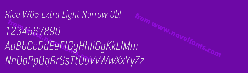 Rice W05 Extra Light Narrow OblPreview Rice W05 Extra Light Narrow OblPreview