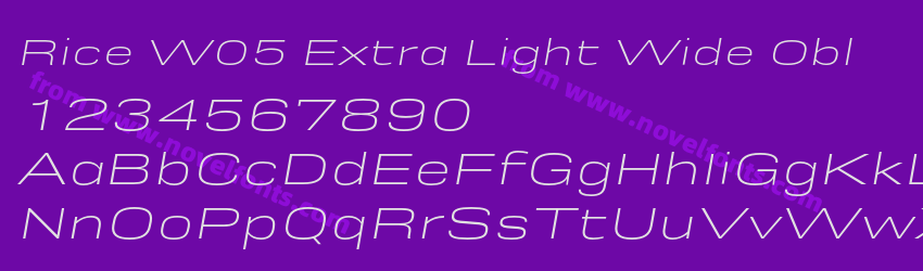 Rice W05 Extra Light Wide OblPreview Rice W05 Extra Light Wide OblPreview