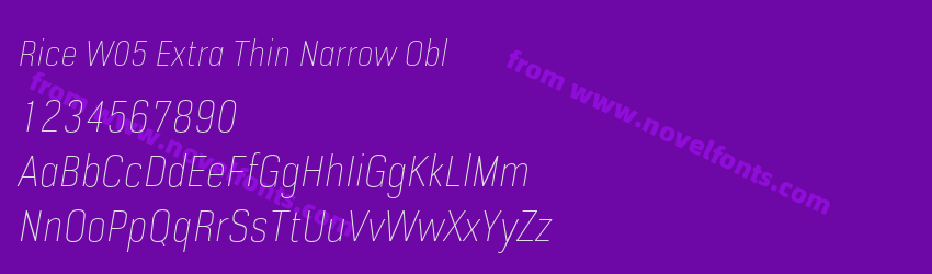 Rice W05 Extra Thin Narrow OblPreview Rice W05 Extra Thin Narrow OblPreview