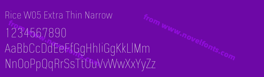 Rice W05 Extra Thin NarrowPreview Rice W05 Extra Thin NarrowPreview