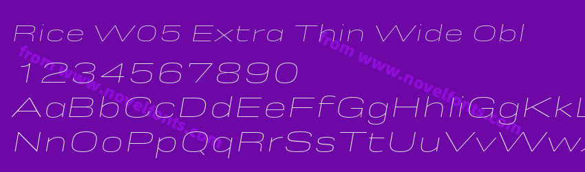 Rice W05 Extra Thin Wide OblPreview Rice W05 Extra Thin Wide OblPreview