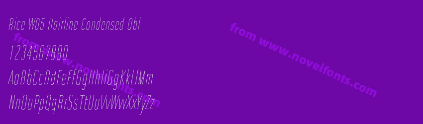 Rice W05 Hairline Condensed OblPreview Rice W05 Hairline Condensed OblPreview